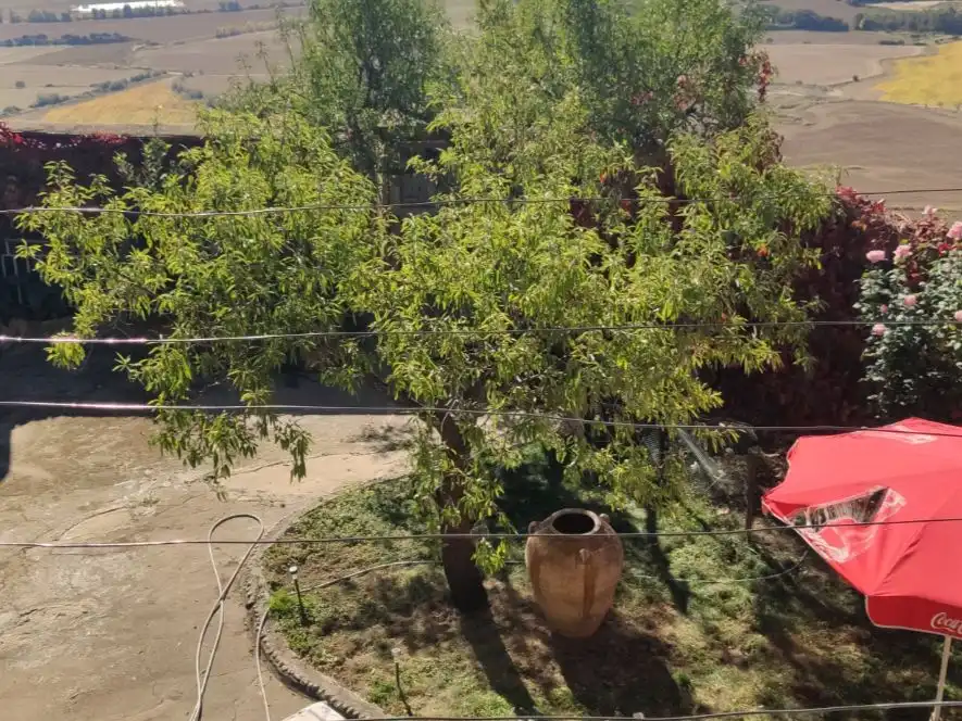 House with garden for sale in Herrerias 78 78, imagen 8