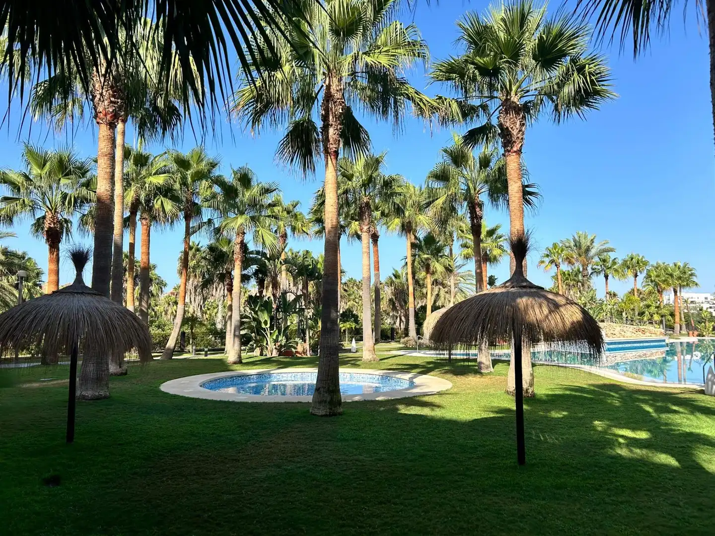 Schwimmbecken von Wohnung zur Miete in Motril mit Klimaanlage, Privatgarten und Möbliert