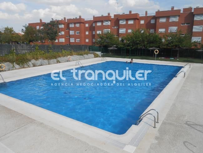 Piscina de Piso de alquiler en Rivas-Vaciamadrid con Trastero, Piscina y Se aceptan mascotas