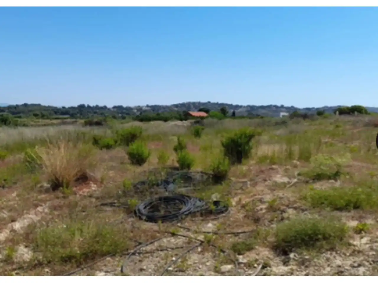 Rural land for sale in Poligono 13, imagen 10