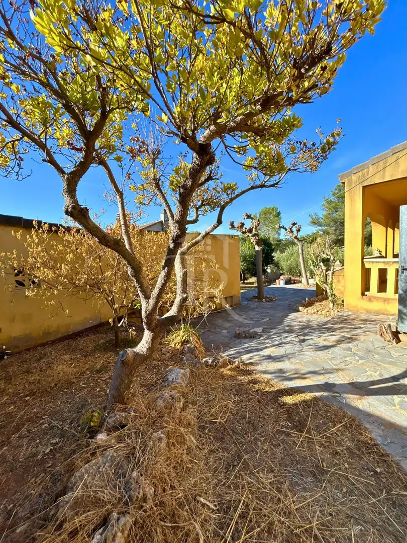 Villa avec piscine à vendre à Cabra del Camp, imagen 17
