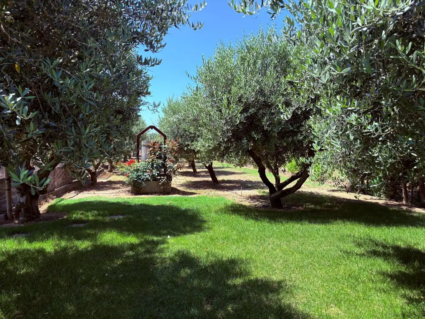 Jardí de Casa o xalet en venda en Castelló d'Empúries amb Aire condicionat, Calefacció i Jardí privat