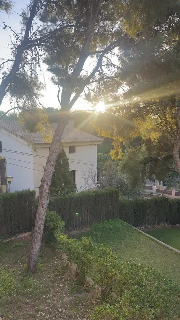 Finca rústica de alquiler en FUENTE DEL ORO, San Miguel - El Paraiso