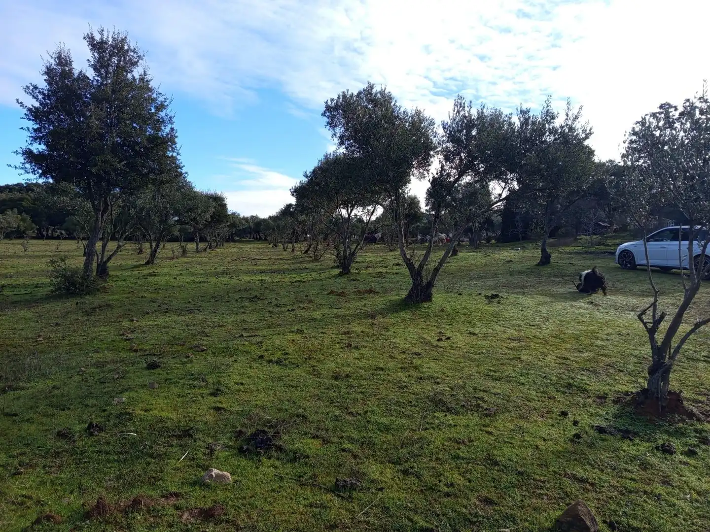 Finca rústica en venda en Almadén de la Plata amb Jardí privat