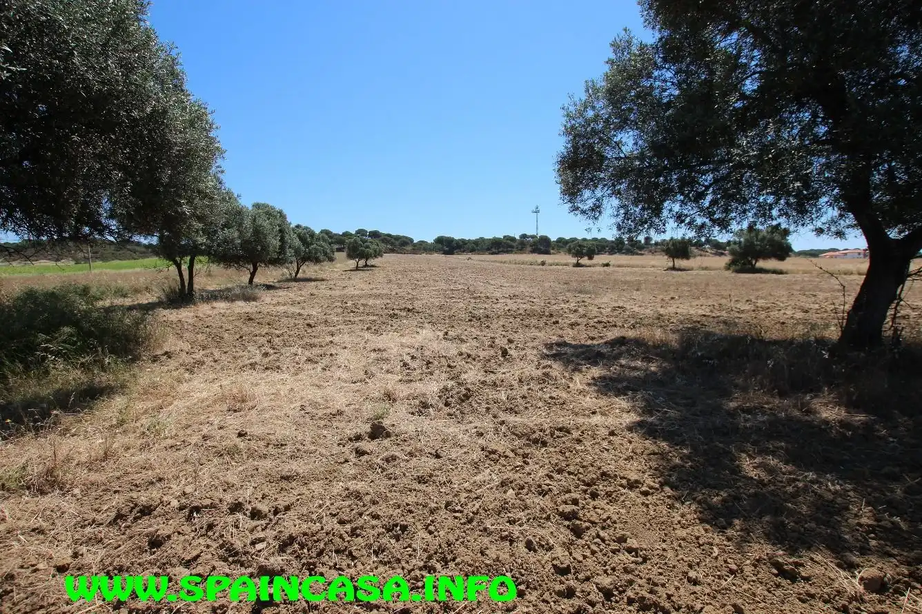 Terrenos y solares en venta en Núcleo urbano, imagen 7