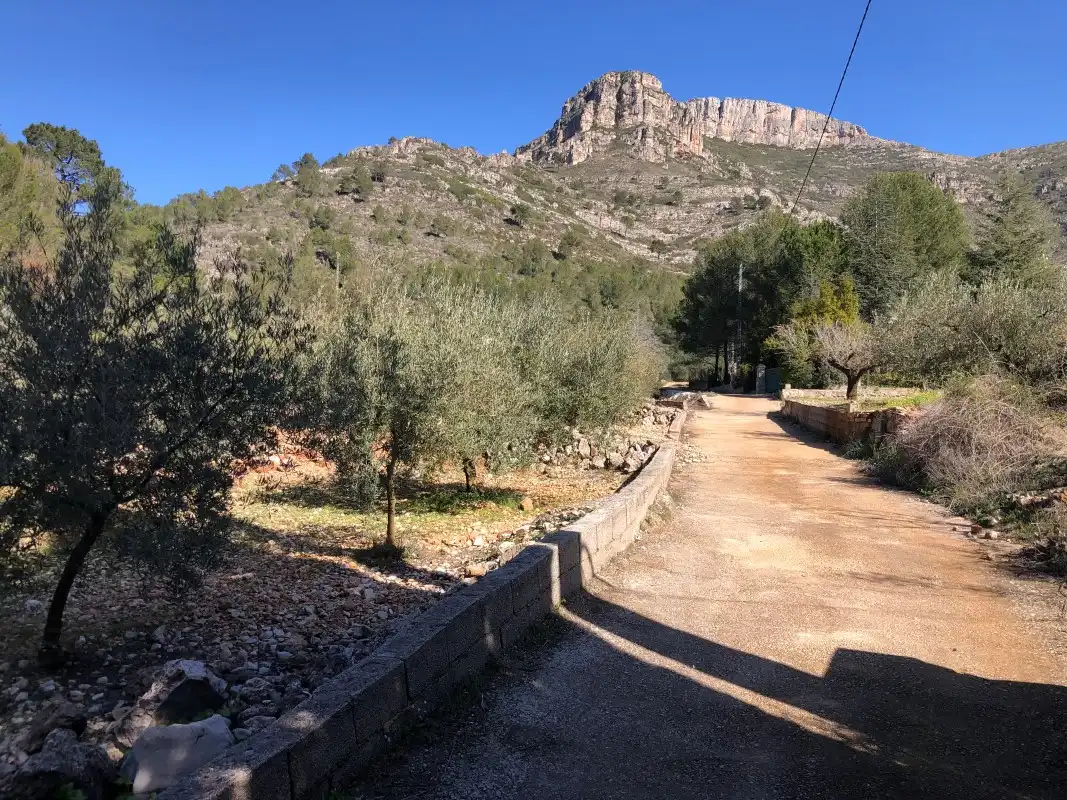Terreny rústic en venda a Carrer de la Font, imagen 18