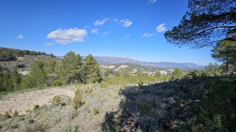 Foto 2 de Terreny en venda a Millena, Alicante