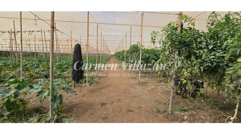 Photo 4 of Land for sale in Tesejerague, Tesejerague, Las Palmas