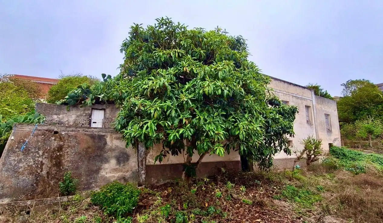 Finca rústica en venda en Icod de los Vinos