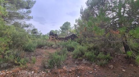 Photo 2 of Residential for sale in  Rio Mundo, Ver Catastro, Molinicos, Albacete