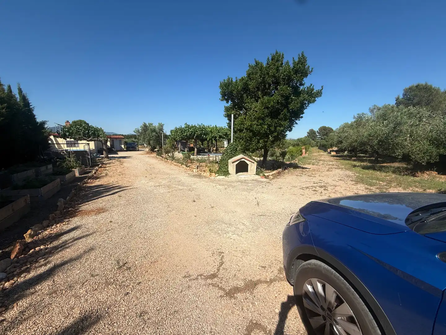 Casa o chalet en venta en Alcover con Parquet, Terraza y Piscina