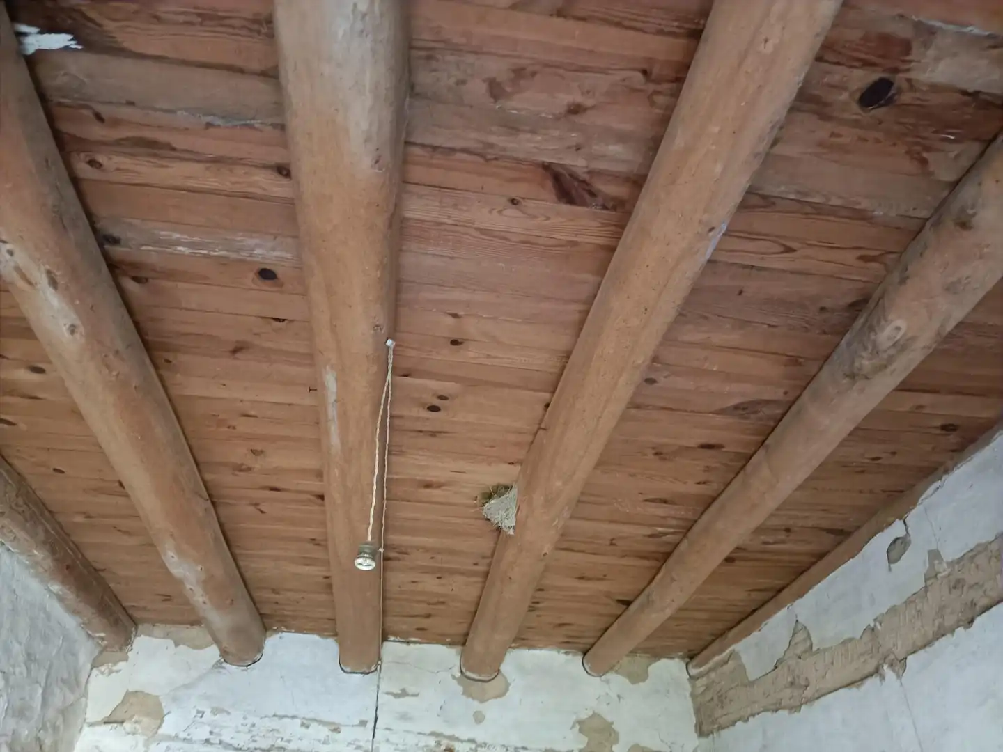 Finca rústica en venta en Codo