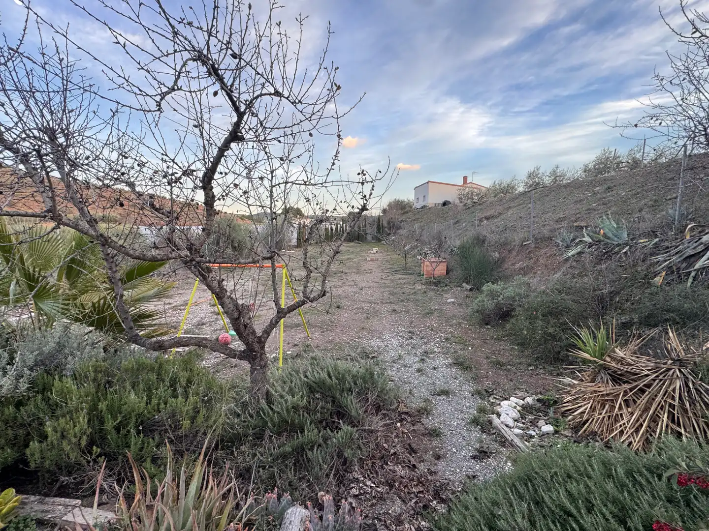 Chalet con terraza en venta en Cehegín, imagen 23
