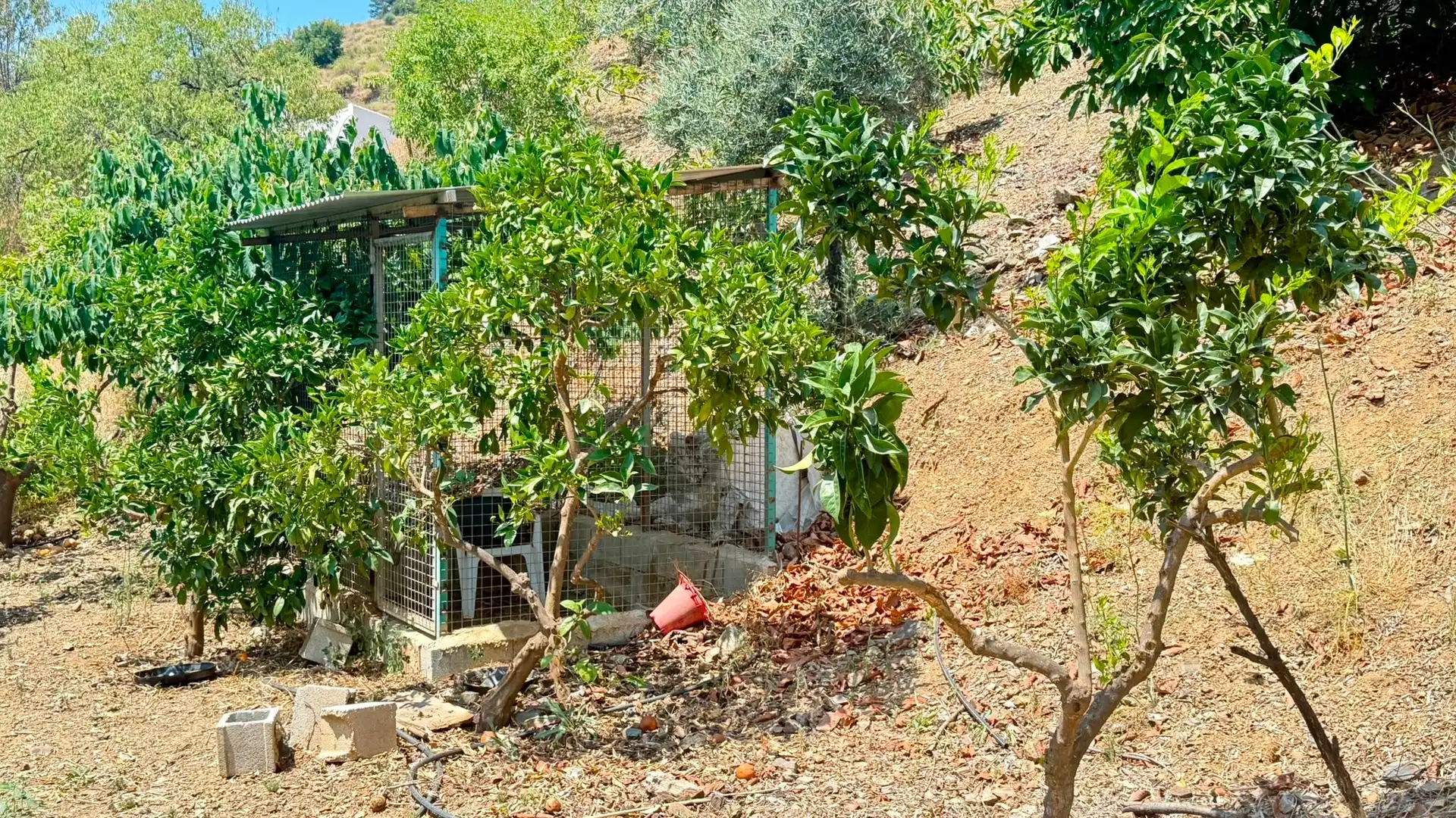 Casa o xalet en venda en Sedella amb Aire condicionat, Jardí privat i Terrassa