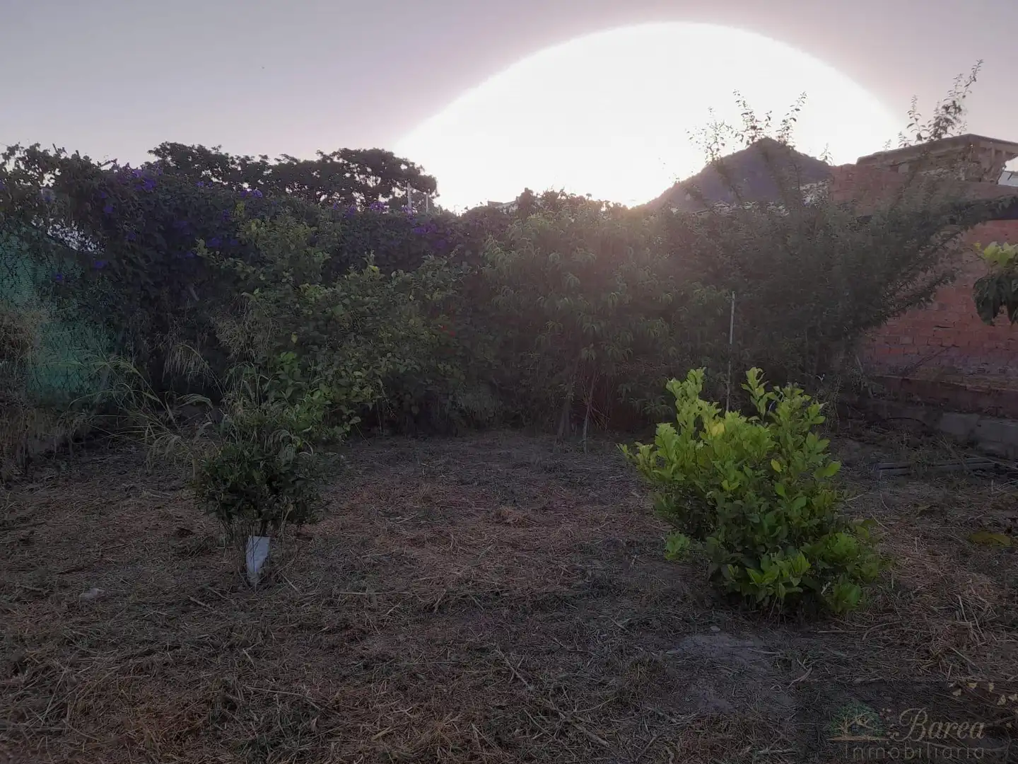 Casa rustica in vendita a Rute, imagen 4