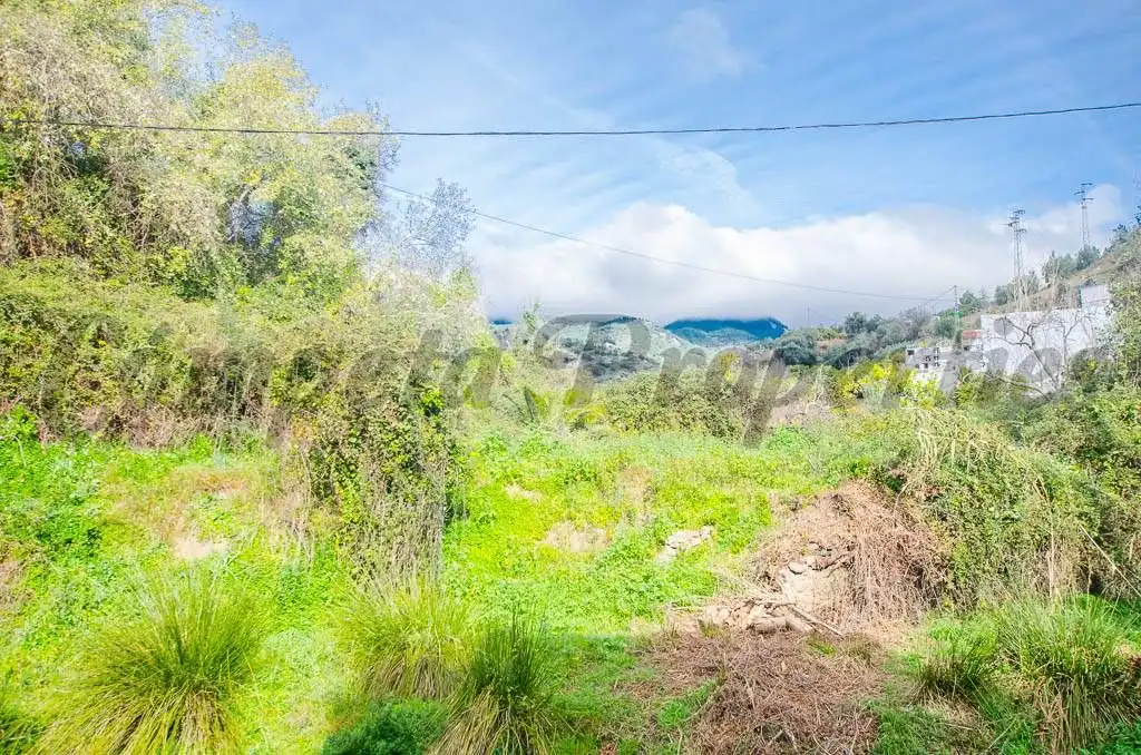 Terreno rustico in vendita a Árchez, imagen 2