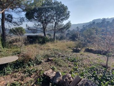 Terreni e lotti in vendita a miramar