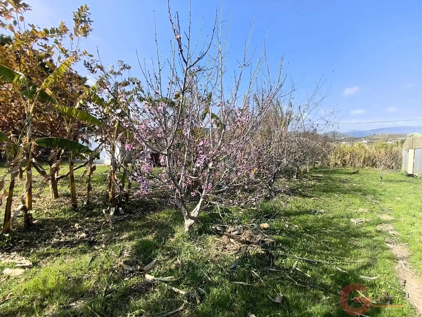 Finca rústica en venda en Motril amb Terrassa i Traster
