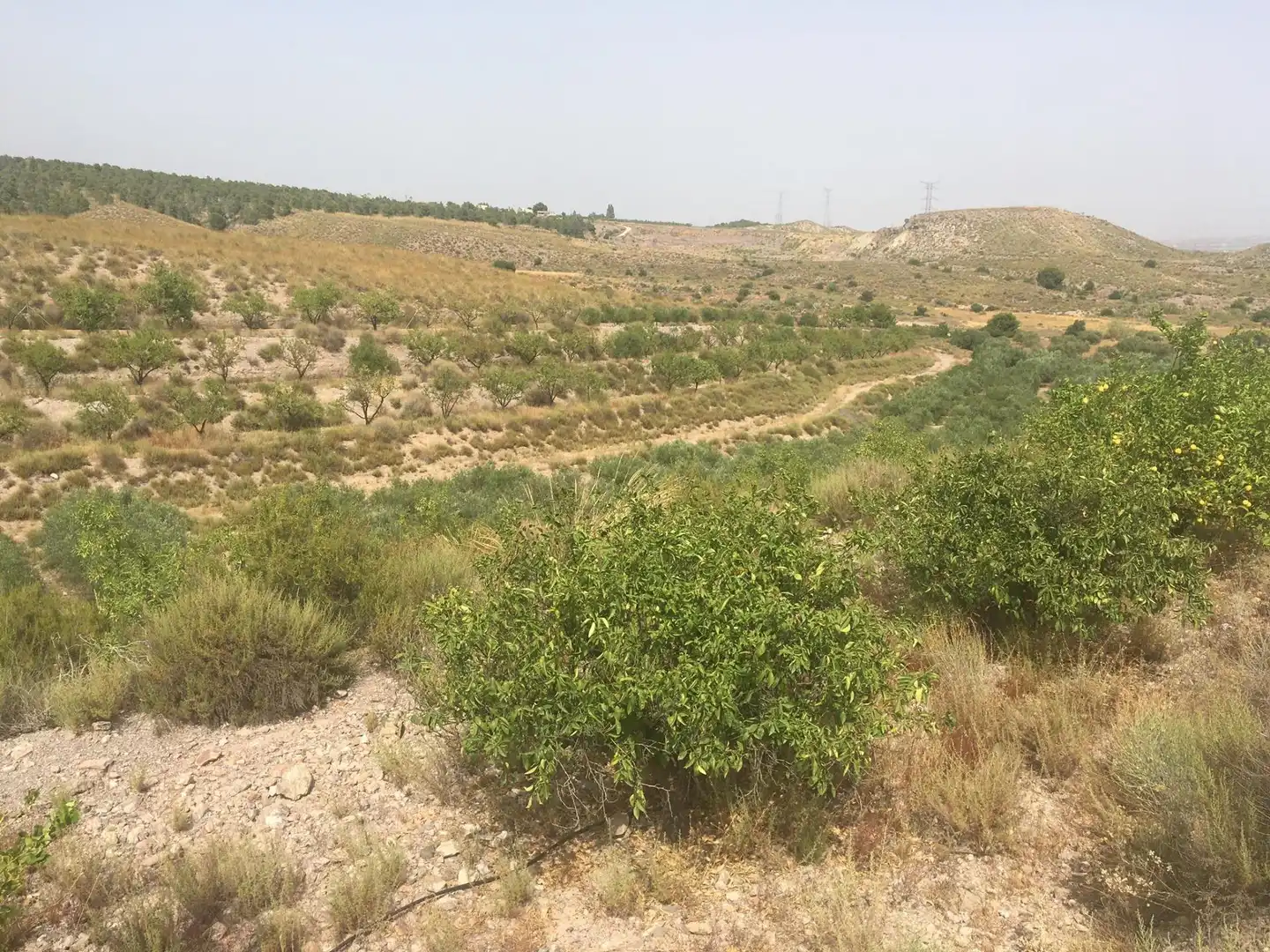 Country house zum Verkauf in Lorca mit Privatgarten und Schwimmbad