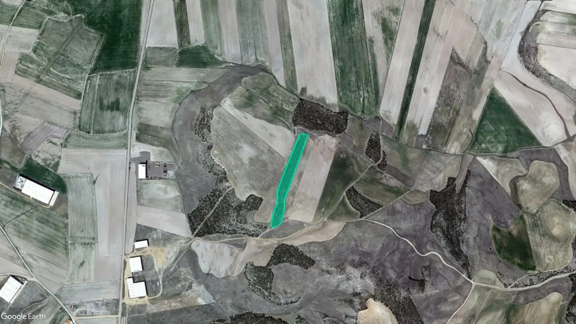 Land for sale in Pl 14 - Morrón de Arriba -, Zarza de Tajo