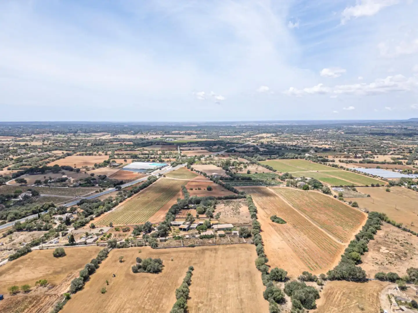 Terreno rustico in vendita a Felanitx Poble, imagen 18
