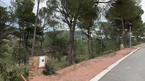 TERRENY A ELS PINYARETS, CASTELLOLÍ, immagine 3