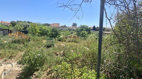 Photo 4 of Country homes for sale in Canastel Polig F, Villamontes - Boqueres, San Vicente del Raspeig / Sant Vicent del Raspeig