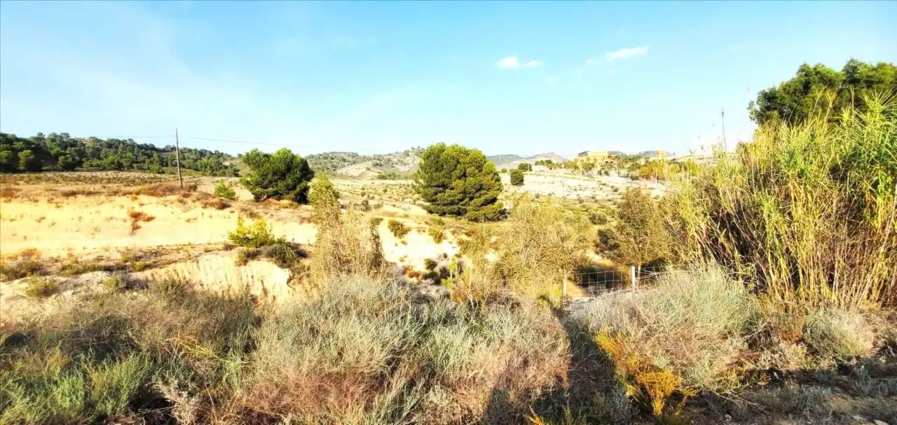 Lands and plots for sale in Monteral 210, imagen 3