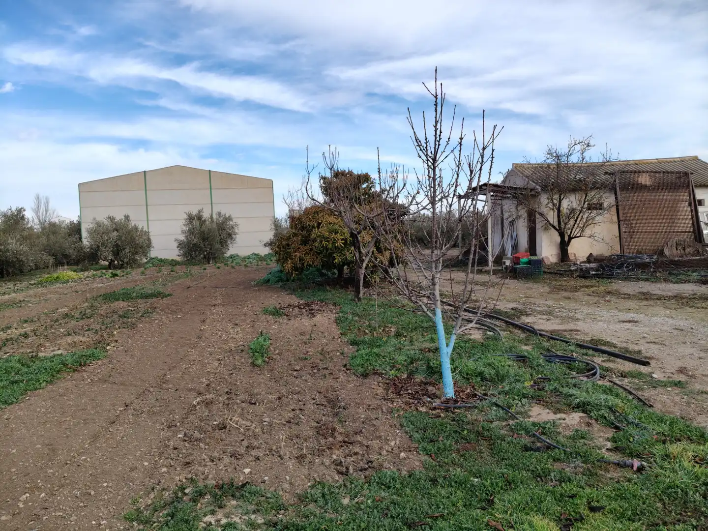 Fabrikhallen zum Verkauf in Baza