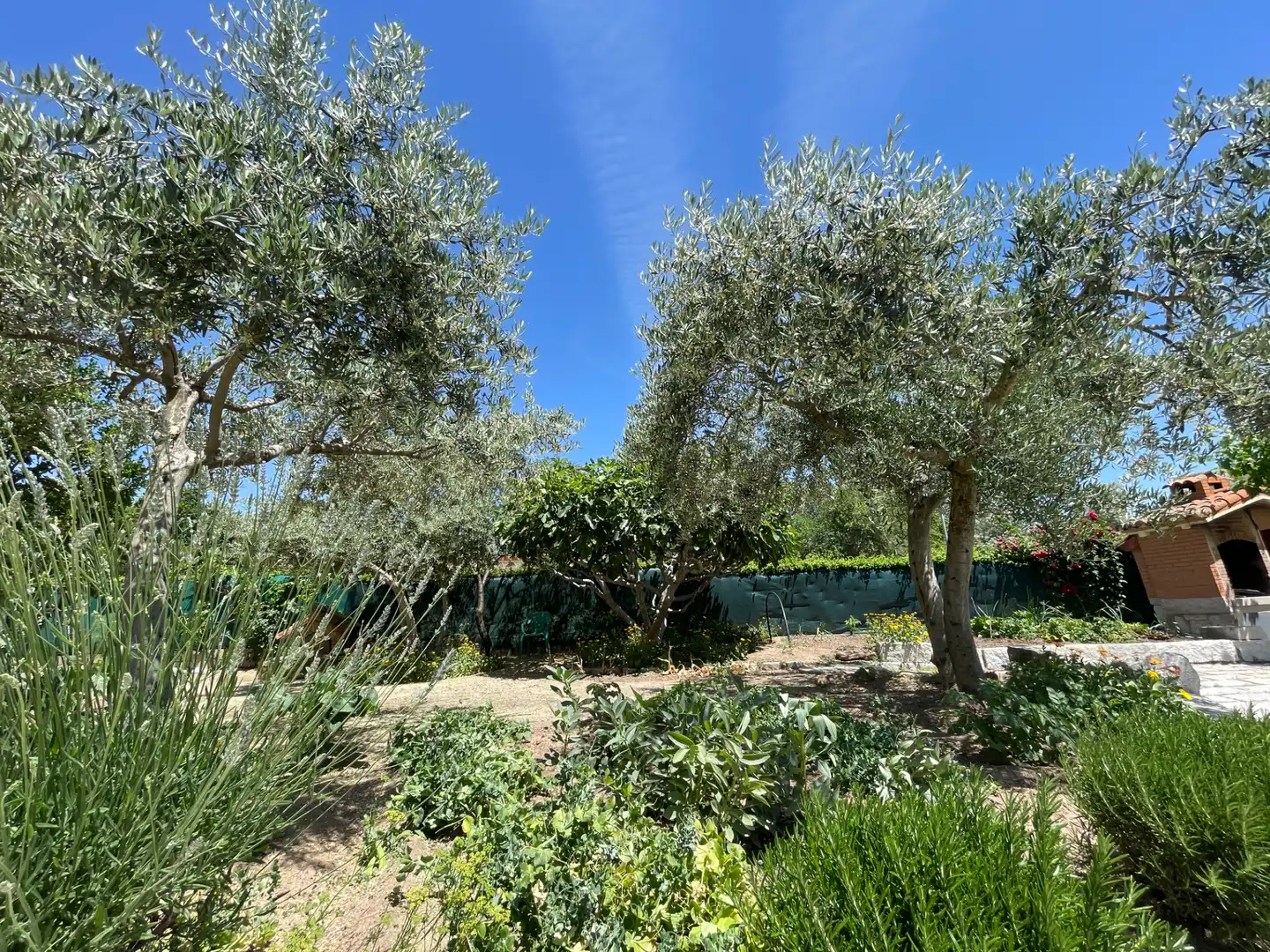 Jardín de Casa o chalet en venta en Colmenar Viejo con Calefacción, Jardín privado y Trastero