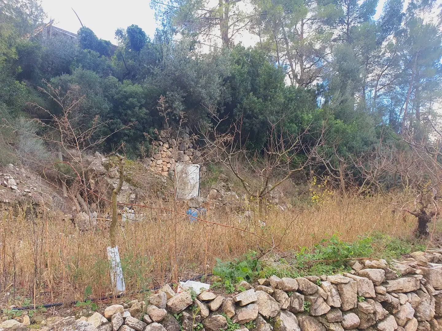 Terreno rústico en venta en Benifallet, imagen 22