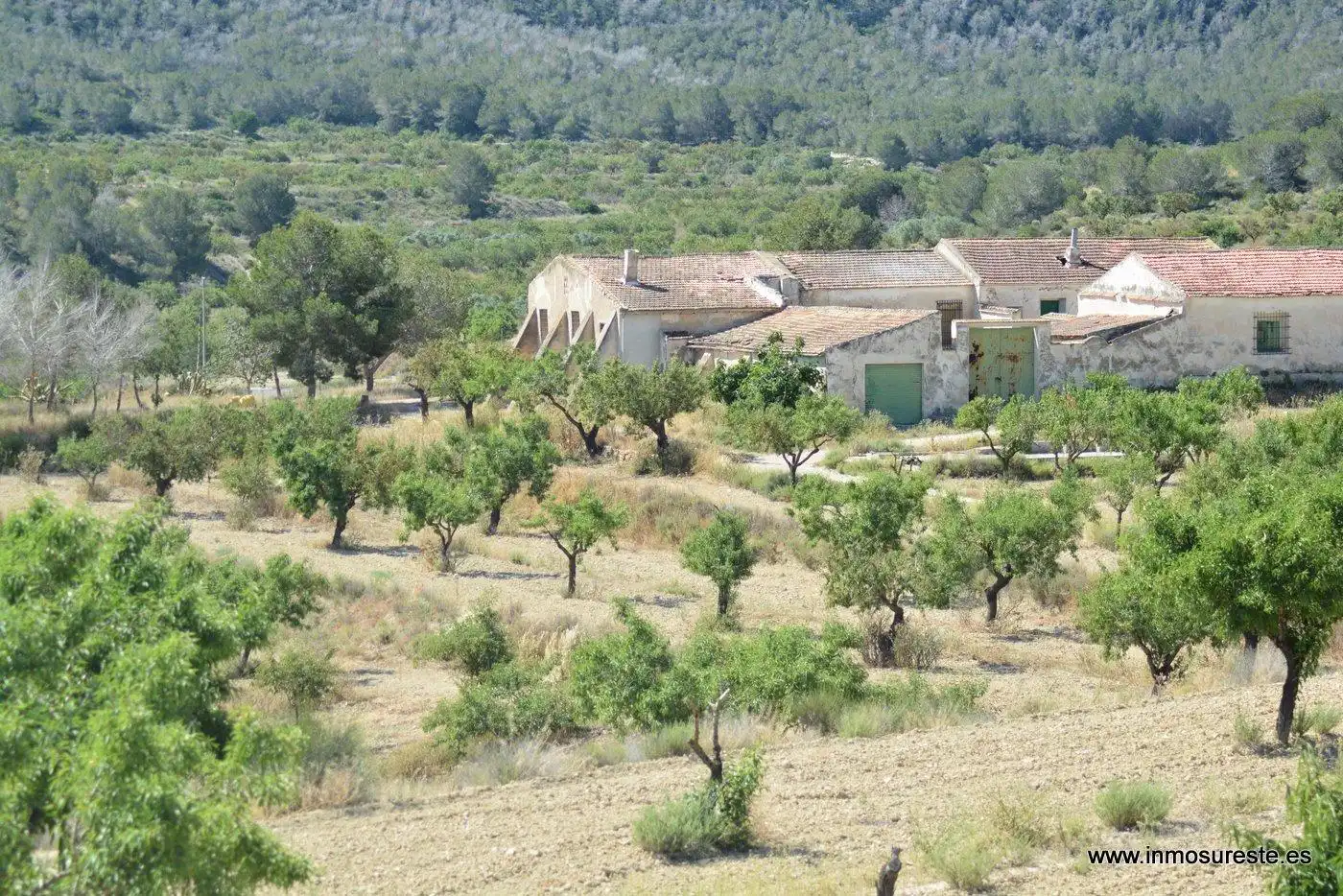 Terreno rustico in vendita a Campo de Murcia, imagen 17