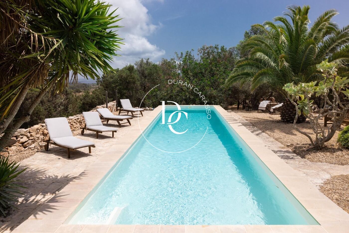 Piscina de Finca rústica en venda en Formentera amb Jardí privat, Terrassa i Traster