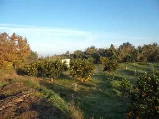 Terrain rustique à vendre à C/ Pla de Pixamuller, imagen 9