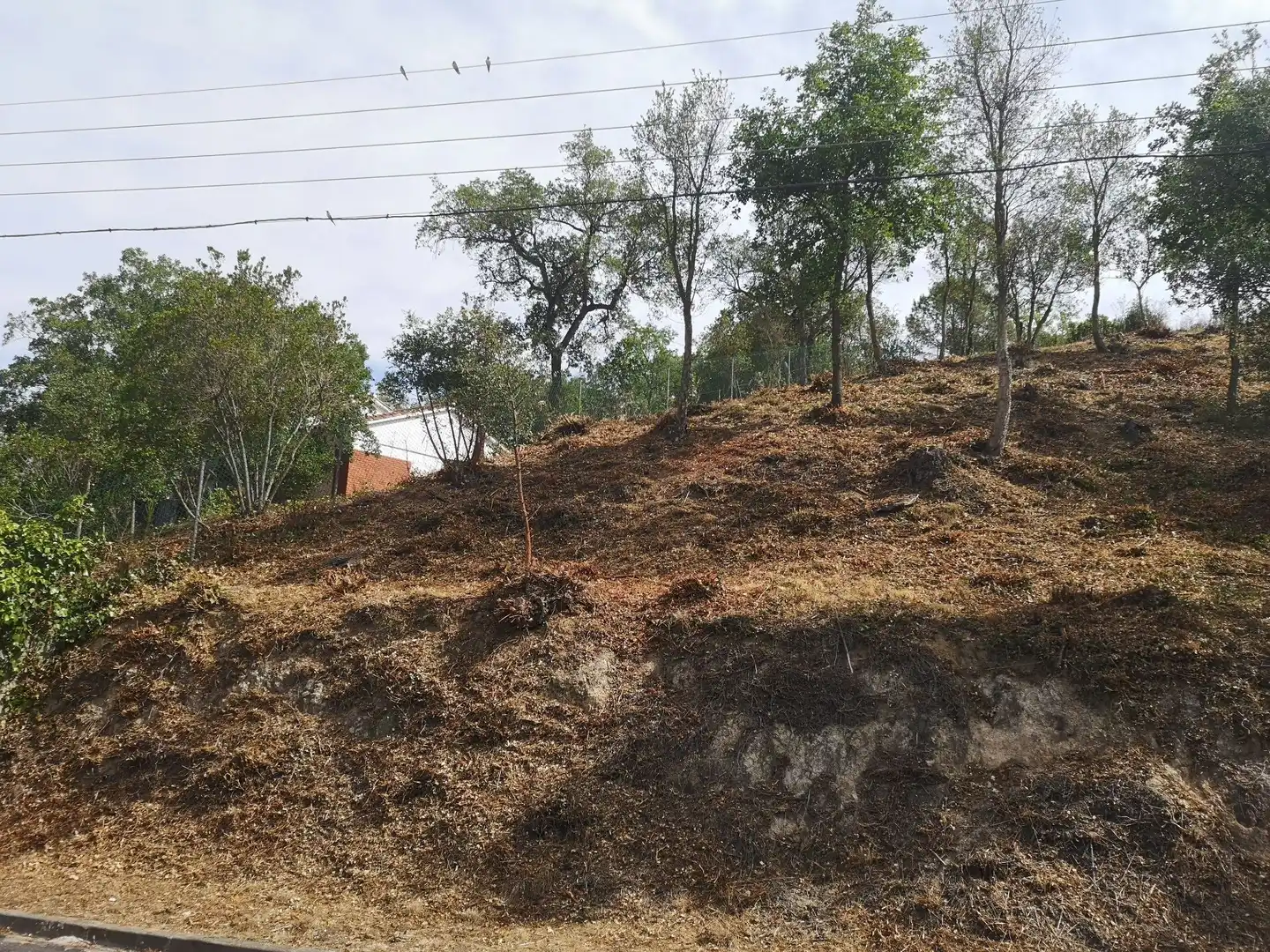 Residential land for sale in Caldes de Malavella, imagen 7