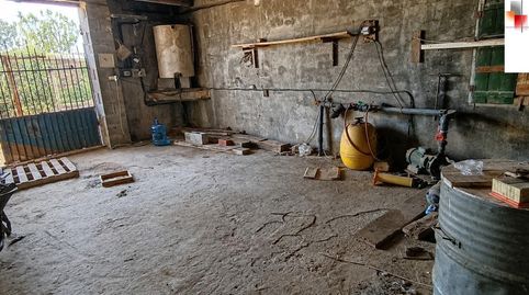 Foto 5 de Finca rústica en venta en Cabanes, Castellón