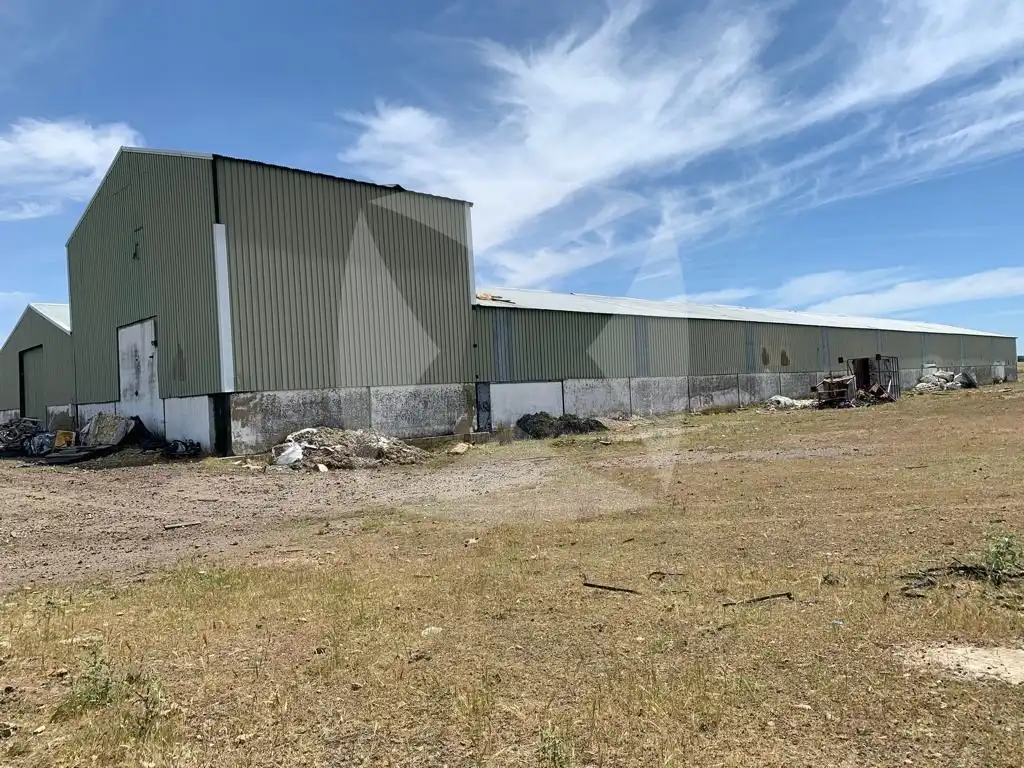 Industrial buildings for rent in Olivenza, Olivenza