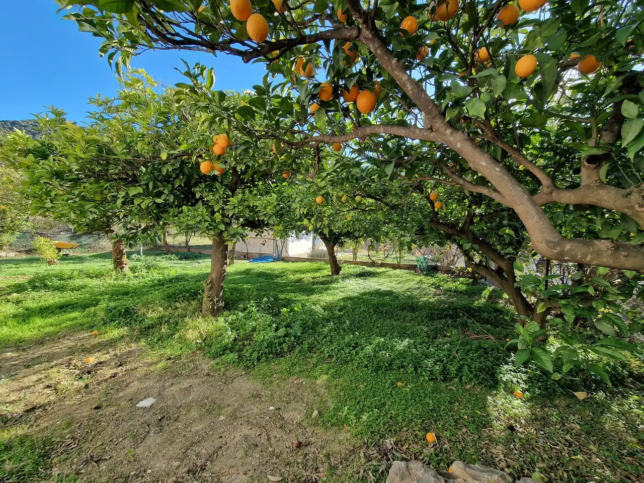 Casa o chalet en venta en Alcaucín