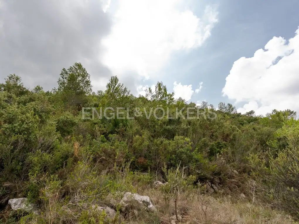 Houses for sale in Carcaixent  with Heating, Private garden and Terrace