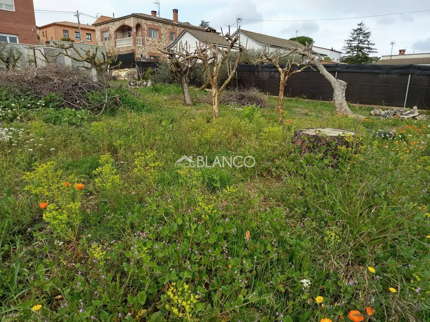 Terreno residencial en venta en Piera, imagen 6