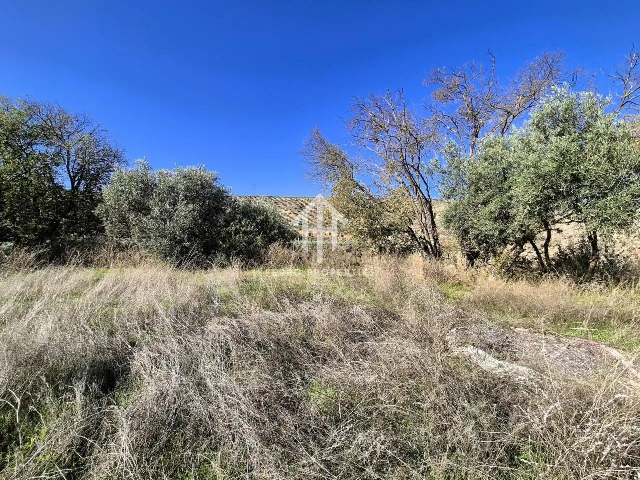 Land for sale in Loja