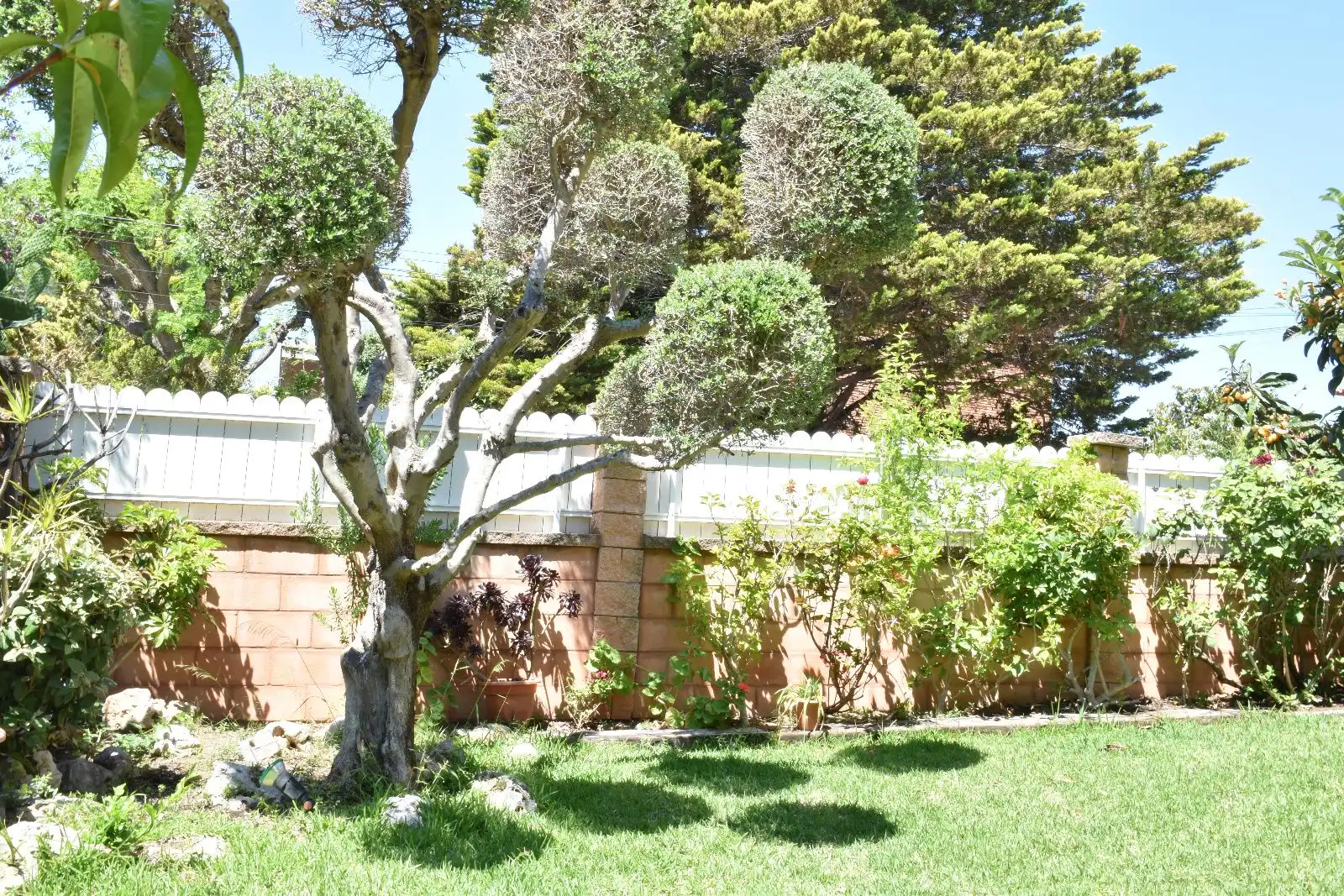 Jardí de Casa o xalet en venda en El Vendrell amb Aire condicionat, Calefacció i Terrassa