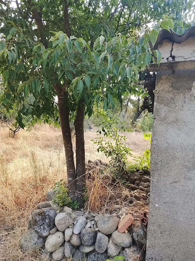 Terreni e lotti in vendita a Villanueva de la Vera, imagen 14