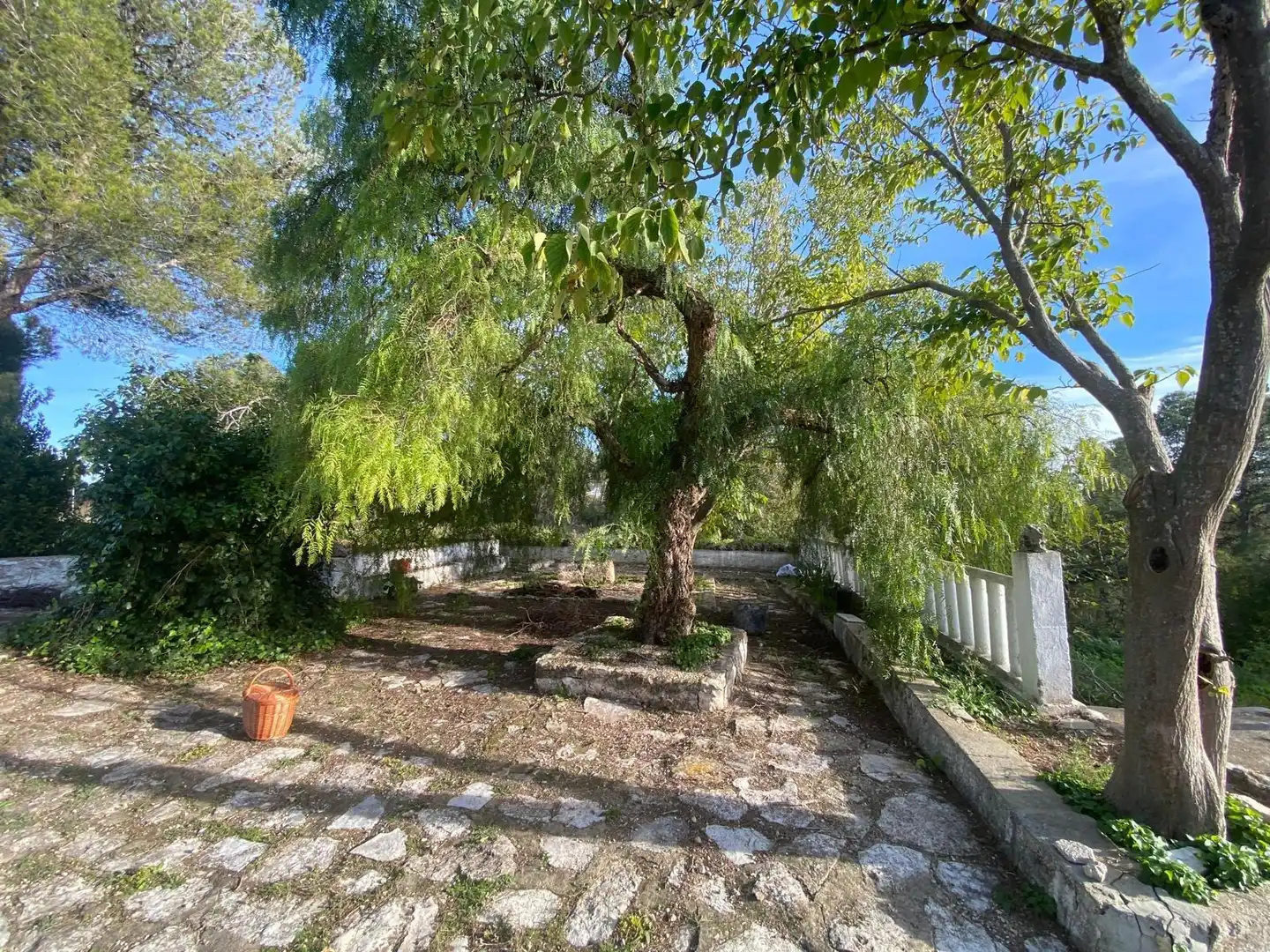 Casa rustica in vendita a Enguera, imagen 30