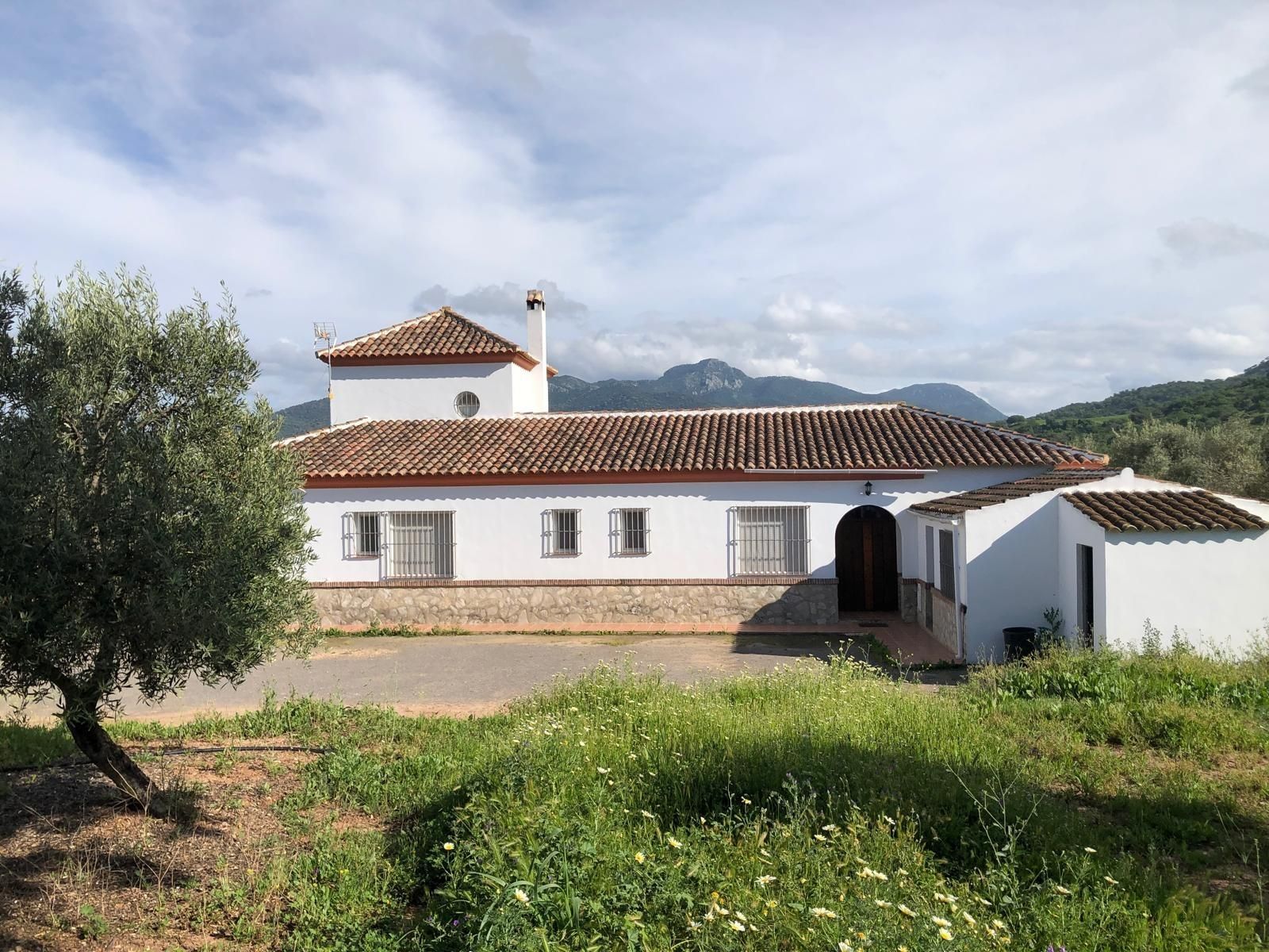 Vista exterior de Casa o xalet en venda en Algodonales amb Aire condicionat, Calefacció i Jardí privat