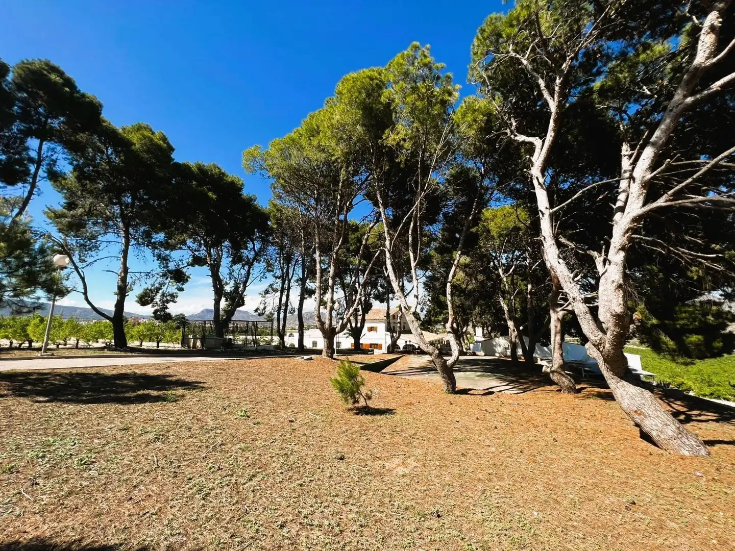 Finca rústica en venta en Monóvar  / Monòver con Aire acondicionado, Calefacción y Jardín privado