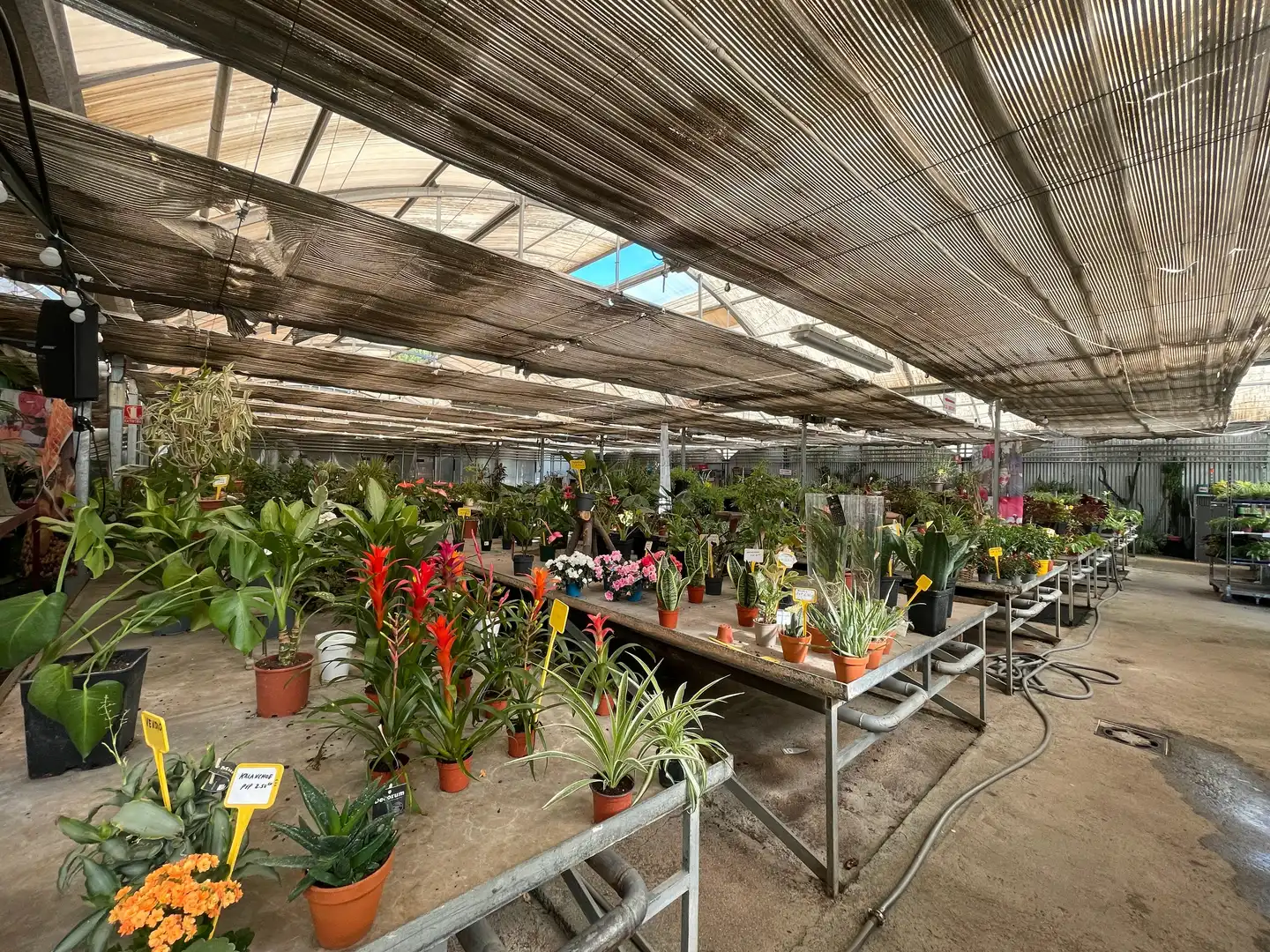 Terreno industrial en venta en Avenida de Madrid, Reyes Católicos