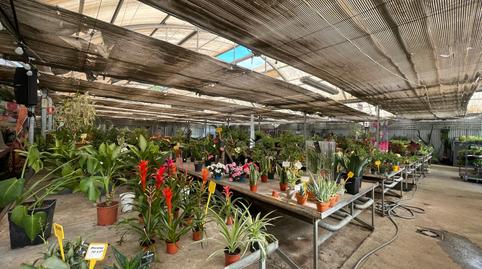 Foto 4 de Terreny industrial en venda a Avenida de Madrid, Reyes Católicos, Madrid