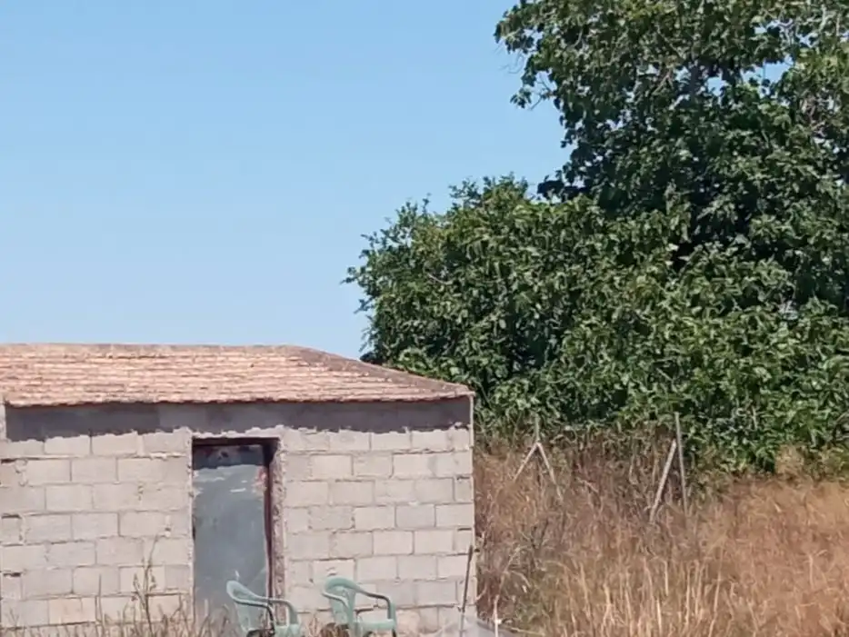 Rural land for sale in Partida Torrejón de San Bruno 52, imagen 5