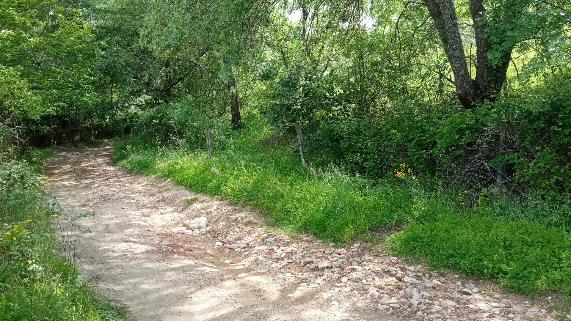 Terreni e lotti in vendita a Casavieja
